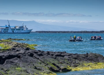 Galapagos - Cruises thumbnail