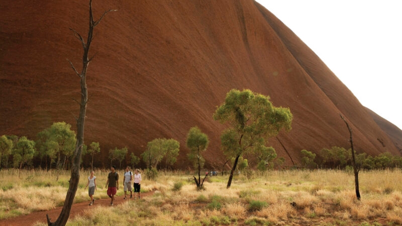Four hikers walking on a trail past sparse trees at the base of a giant red rock wall under a bright sky.