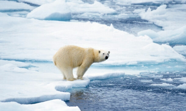 The Highlights of Norway and Svalbard by Sea