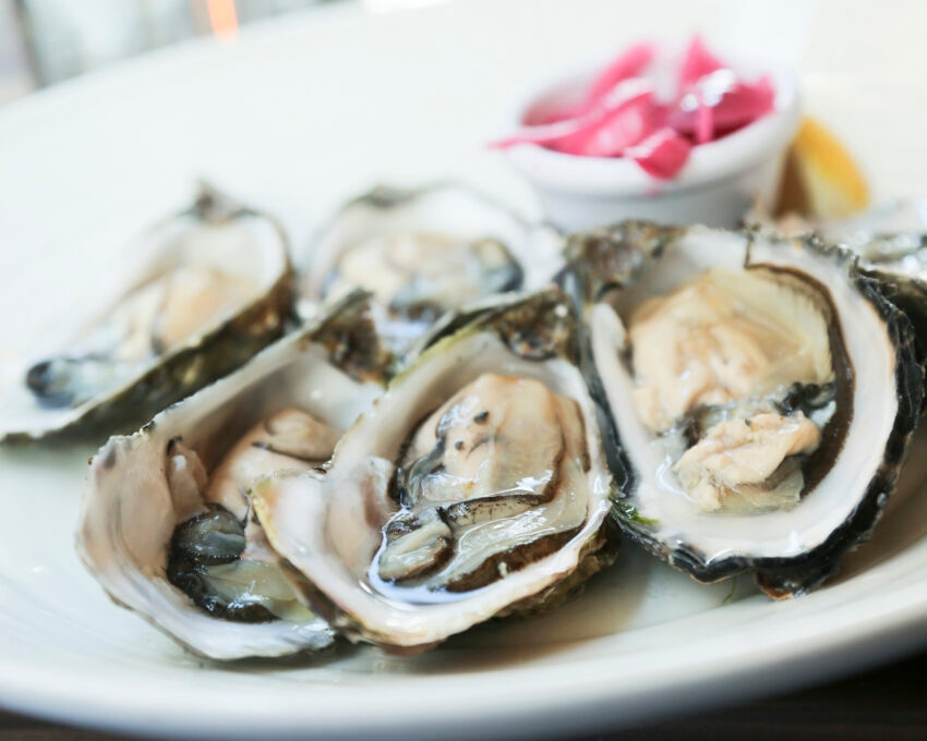 oysters-galway-ireland