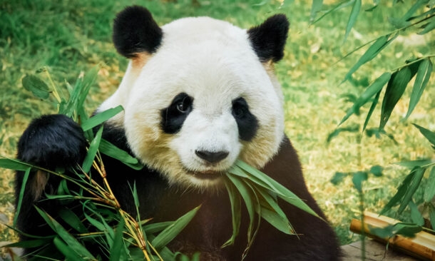 A Family Adventure in China