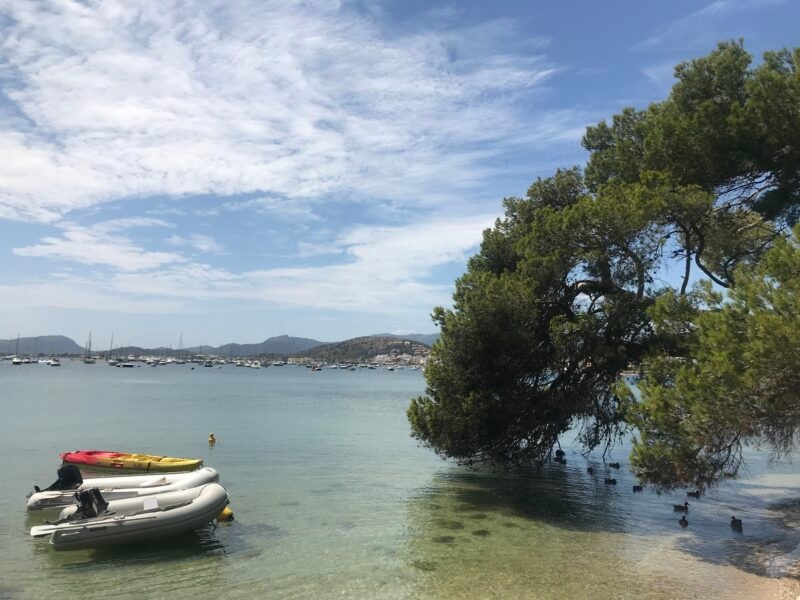 pollenca-mallorca