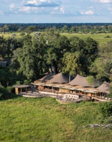 Wilderness Mombo Camp