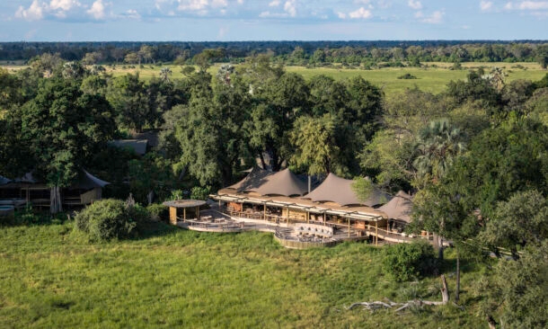 Wilderness Mombo Camp