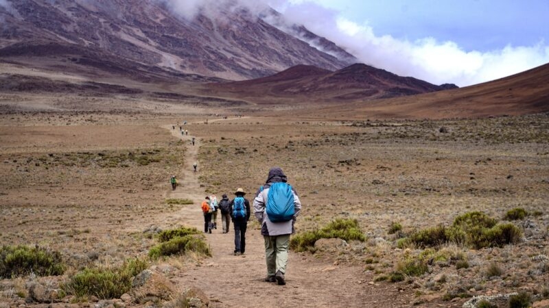 People hiking Mount Kilimanjaro