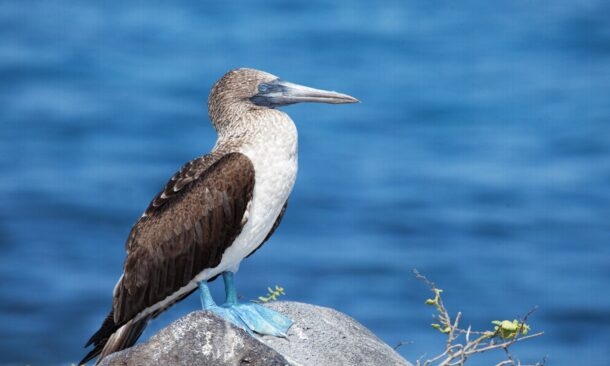 Best time to visit for bird watching