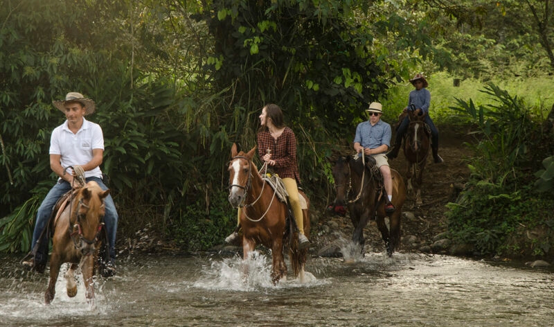 Four tourists on a Luxury Colombia Tours horseback riding excursion, crossing a shallow, rocky river surrounded by lush greenery and trees.