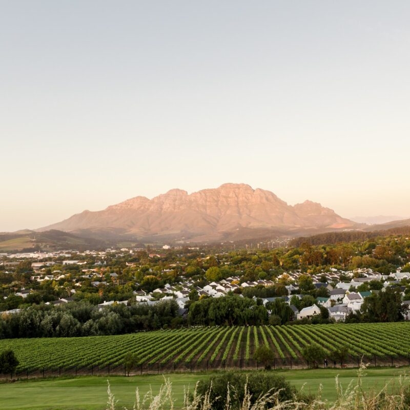 Luxury South African Safaris and Tours - High-angle view of a vineyard and residential area at the base of a large mountain at dusk.