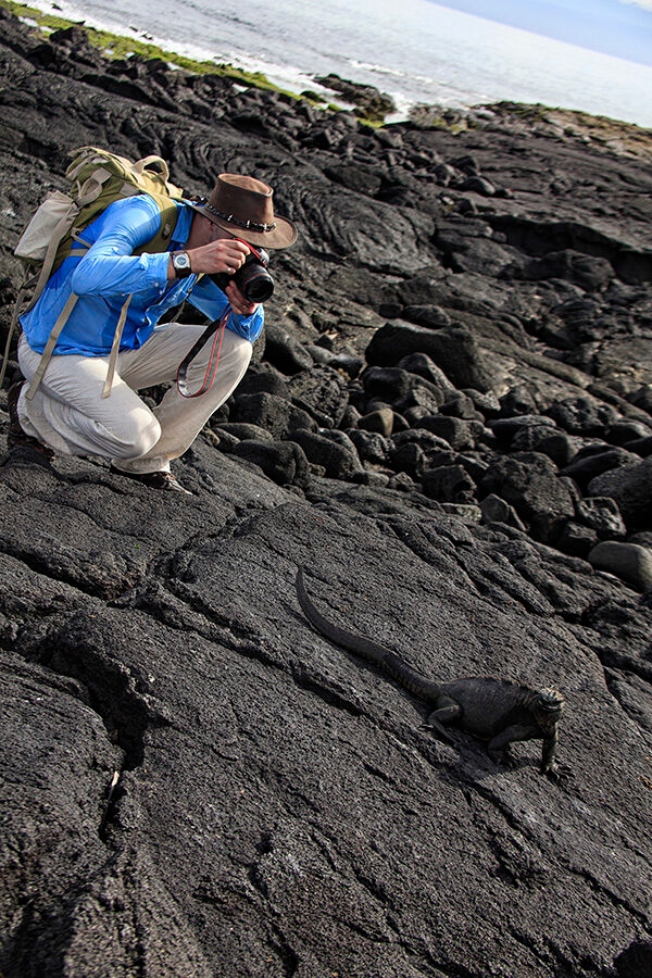 A person crouching on black lava rock to photograph a dark Marine Iguana with a camera. luxury Galapagos holidays.