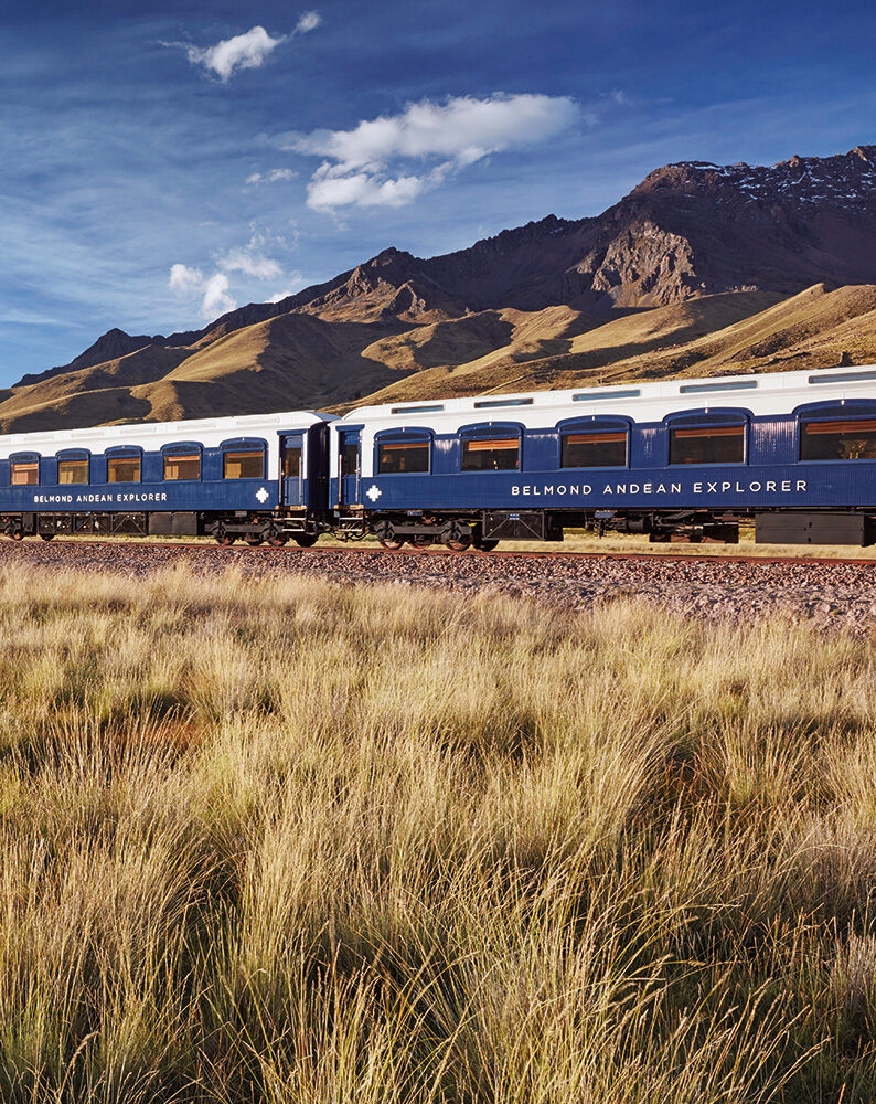 A blue train crossing a yellow grassy field during luxury Peru train trips.