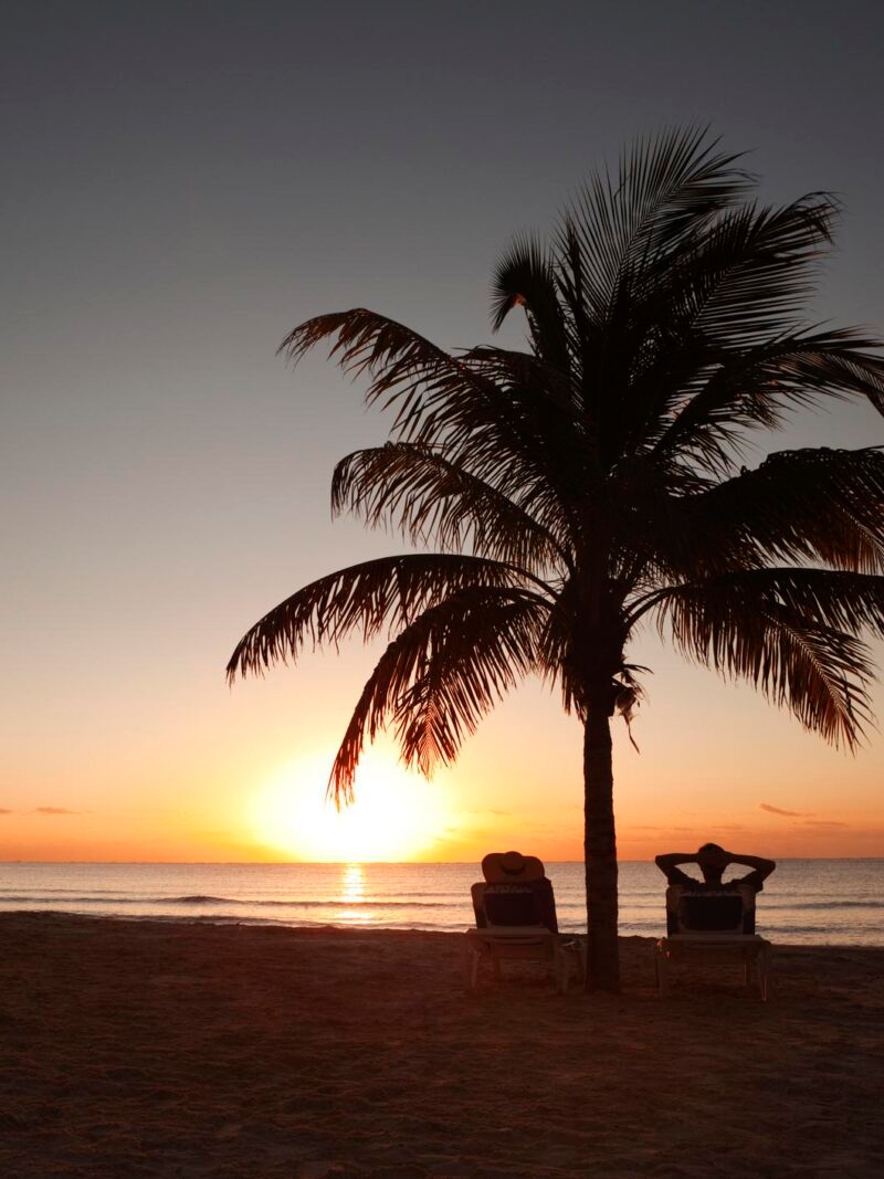 Silhouette of a couple on beach chairs under a palm tree at sunset during luxury Honeymoon