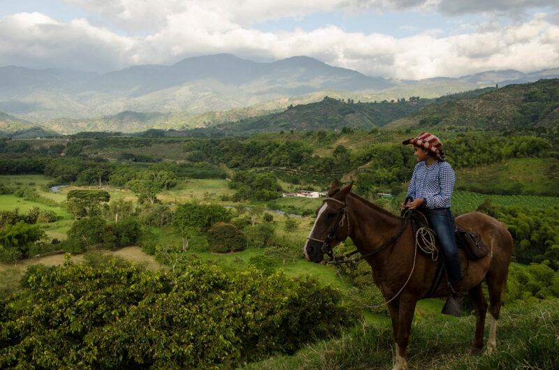 A rider on horseback overlooks a lush green valley during luxury Latin America family tours.