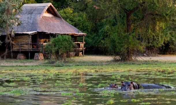 Mfuwe Lodge