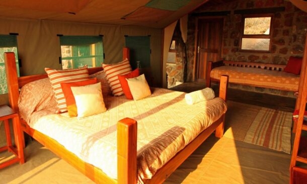 Ant's Nest and Bush Lodge