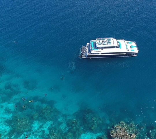 Aerial view of a white boat titled Calypso anchored in clear blue ocean water over a visible coral reef.