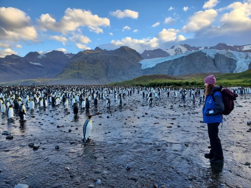 woman looking at penguins