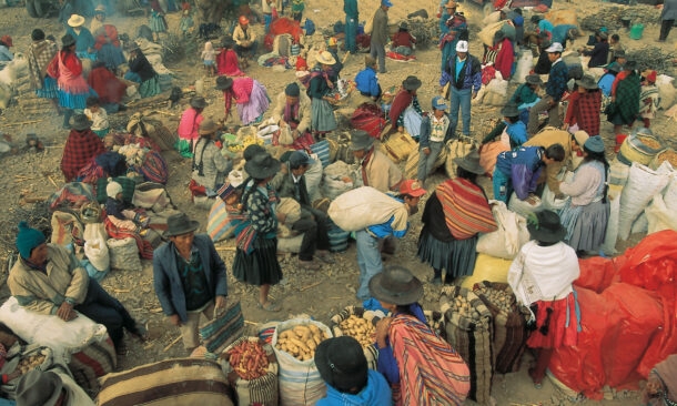 A crowded outdoor marketplace where people in hats and colorful clothing stand near large sacks of potatoes and goods.