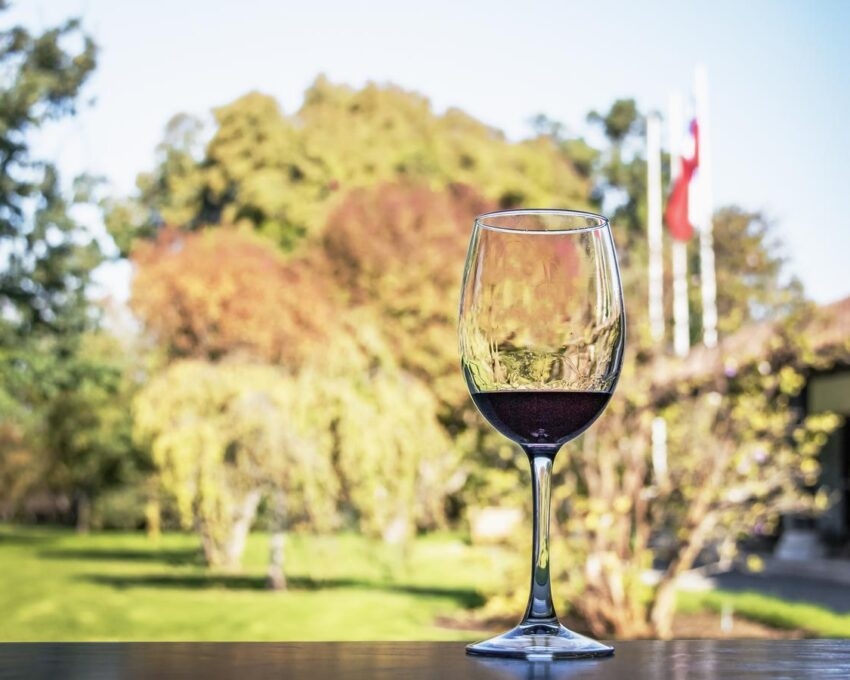 Glass of wine in a Chilean Vineyard - Santiago, Chile