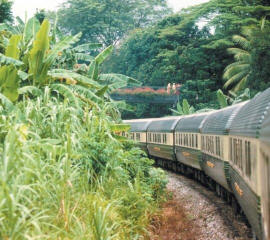 The Belmond Eastern & Oriental Express train travelling through the jungle in Malaysia