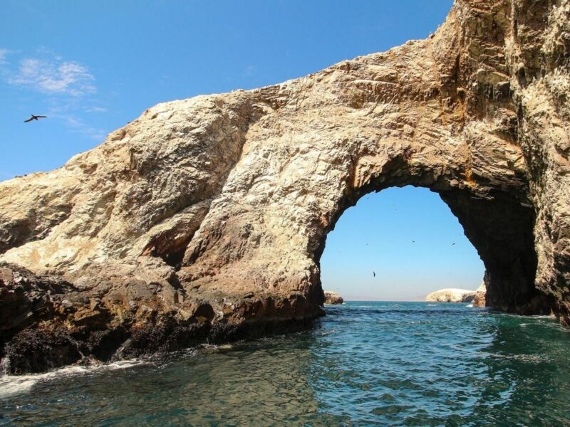 A large natural arch in a rocky cliff above the sea with birds flying nearby.