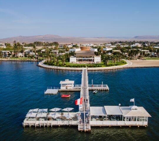 Aerial view of a coastal resort with pier and palm trees.