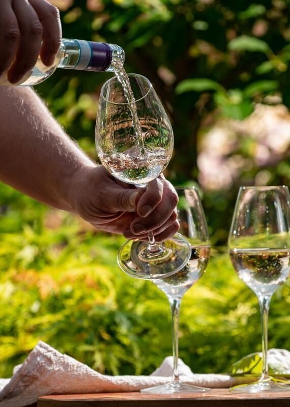 Pouring water into a wine glass with other glasses and greenery in the background.