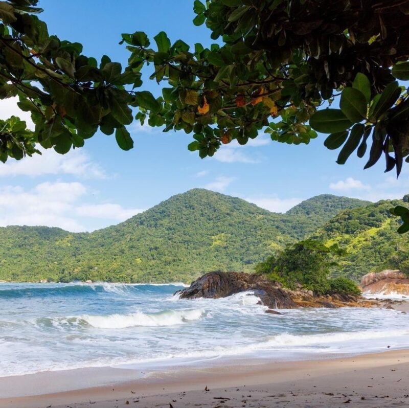 View of a beach framed by trees in Paraty, Brazil