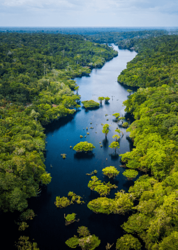 Areal view of the Amazon Brazil