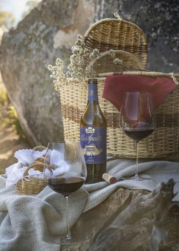 Wine experience Chile