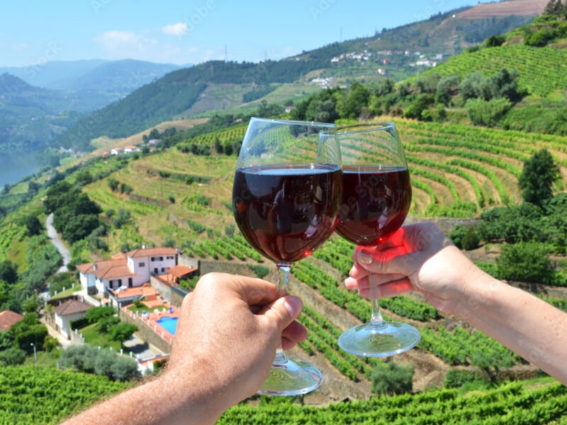 Tasting red wine in the Douro Valley