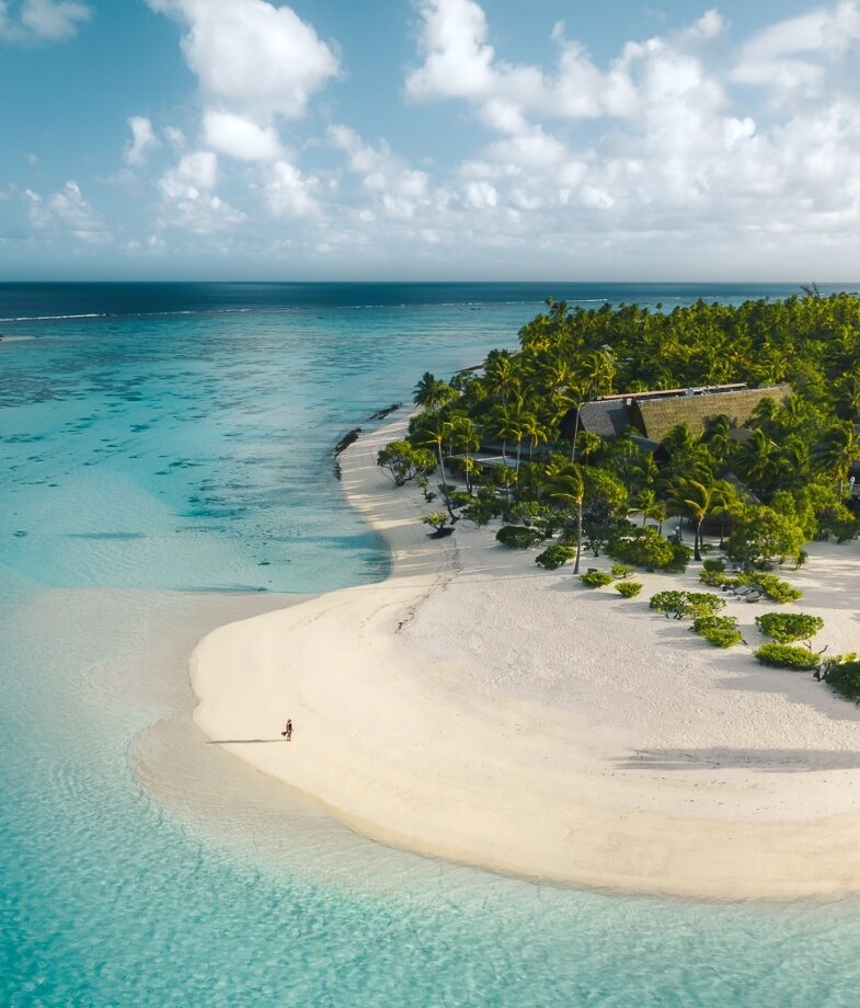 Snorkelling with giant cod during a stay at Lizard Island, the private resort of the Brando in French Polynesia.