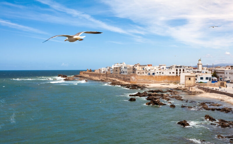 Medina Essaouira in Morocco