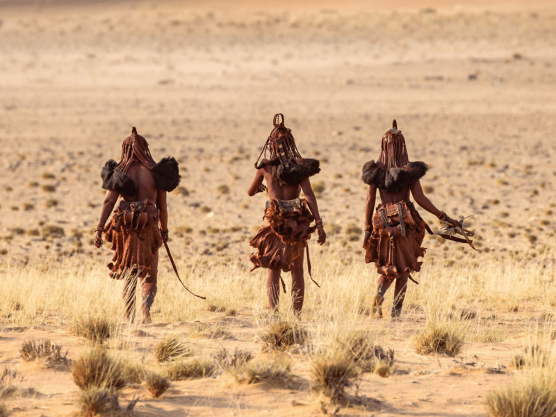 A woman of the Himba tribe in Namibia, adorned with traditional ochre paste (otjize) and intricate jewelry.