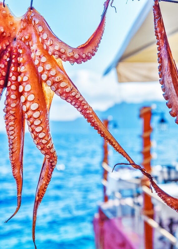 Drying octopus arms in restaurant on Santorini island, Oia village, traditional greek seafood prepared on a grill, Greece.