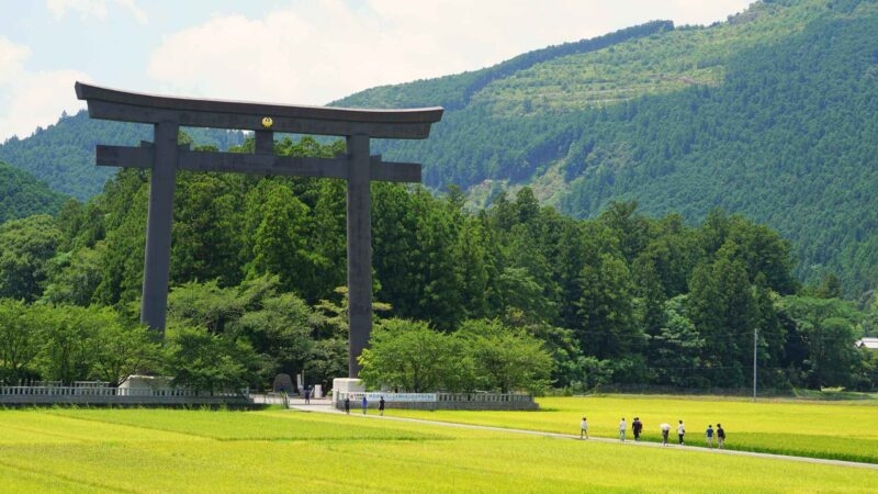 A massive dark torii gate towering over green fields with a walking path and lush forested hills in the background.