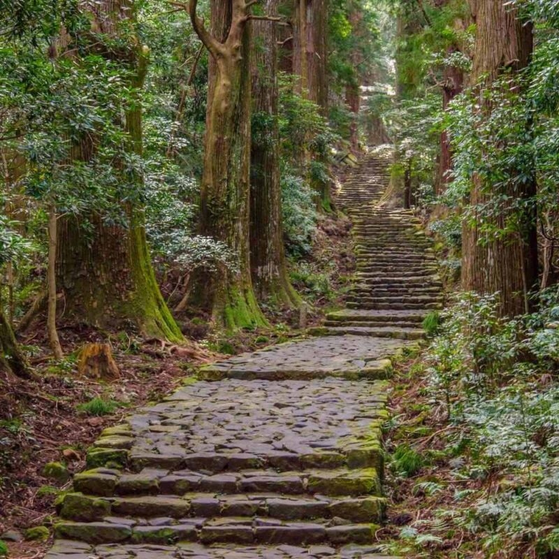 A stone path and staircase on the Kumano Kodo trail winding upward through a towering forest with moss-covered trees.