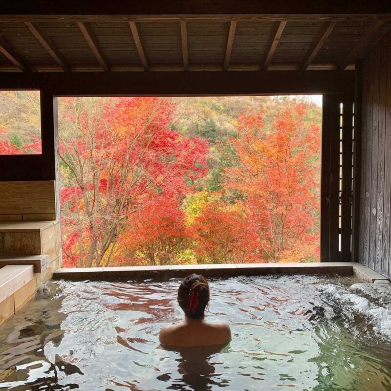 A person sits in a hot spring pool looking out at vibrant red and orange trees during autumn.