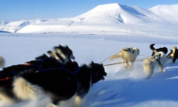 Iceland and Arctic Norway Adventure