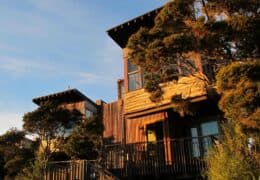 Hapuku Lodge & Tree Houses