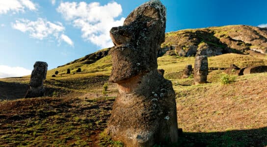 See the carved stone heads of Rapa Nui preview image