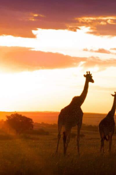 A Wildly Adventurous Tanzanian Honeymoon