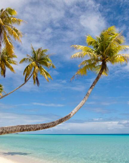 When is the Best Time to Visit Fiji?