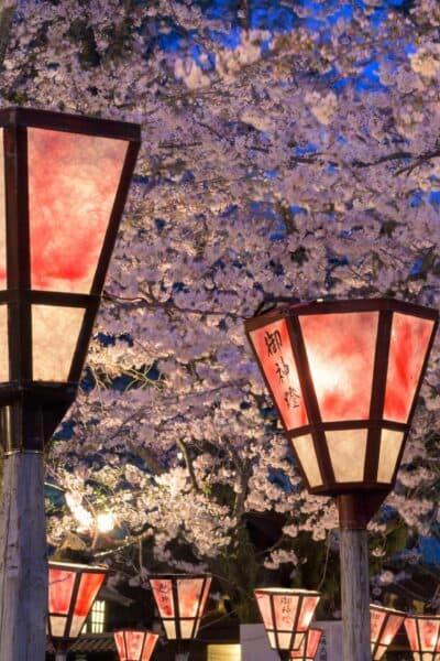"Cherry Blossom of Japan" Luxury Tour