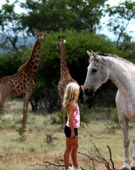 Top Tips for a Family Safari in South Africa