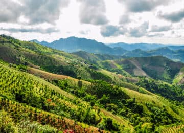 Kalaw thumbnail