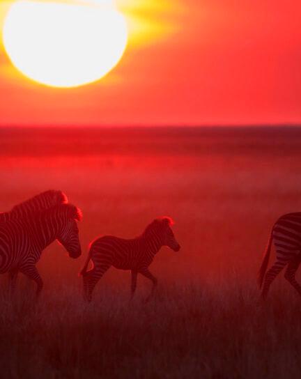 Best Off The Beaten Path Destinations