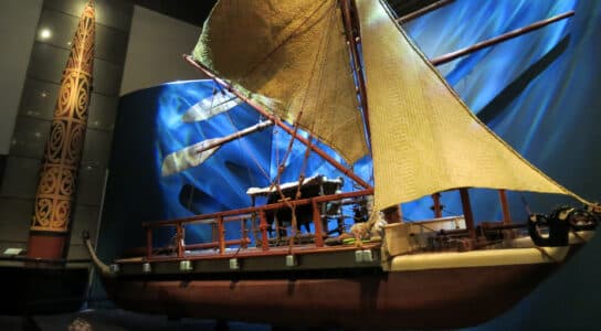 Dig into Te Papa's collections preview image