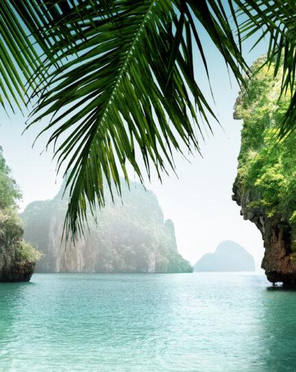 The Ultimate Guide to a Family Vacation in Thailand