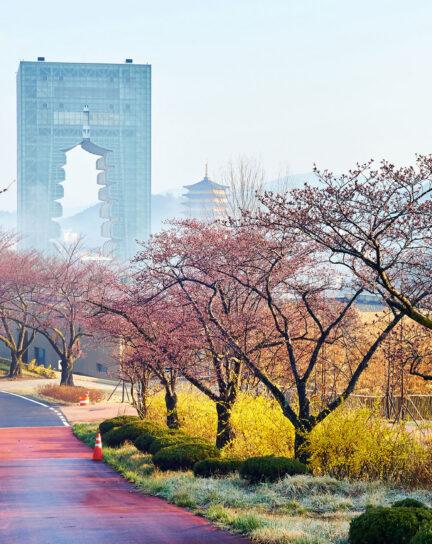 Top Festivals in South Korea