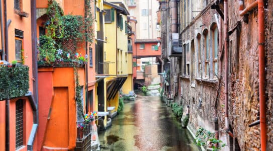 Walk Bologna's medieval streets and towers preview image